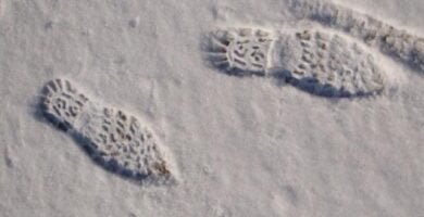 Fotografías como evidencia digital