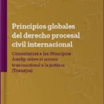 derecho procesal civil internacional